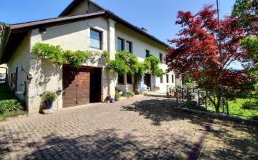 Row house 12 rooms - image - 2