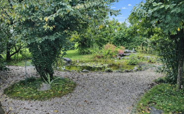 Einfamilienhaus 8.5 Zimmer - image - 5