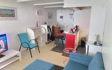 Studio 1 room - image - 3