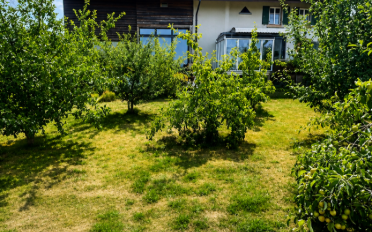 Maison 5.5 pièces - image - 3