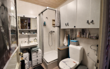 Single house 7 rooms - image - 9