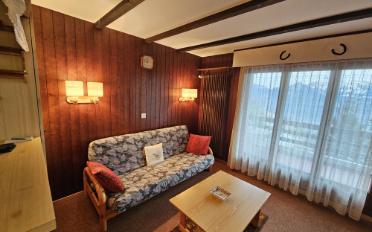 Furnished flat 2.5 rooms - image - 3