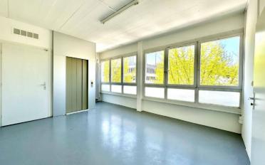 Büro 5 Zimmer - image - 2