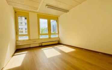 Office 9 rooms - image - 7