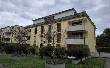 Wohnung 4.5 Zimmer - image - 14