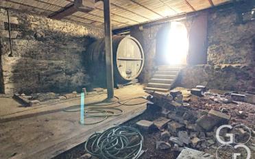 Farm 20 rooms - image - 7