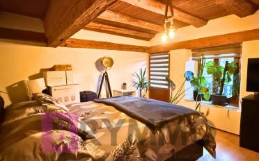 Residential building 14.5 rooms - image - 22