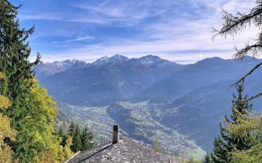 Chalet 6.5 Zimmer - image - 3