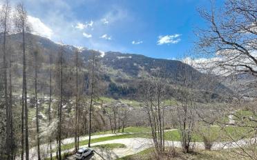 Chalet 4.5 rooms - image - 3