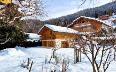 Chalet 4 pièces - image - 2