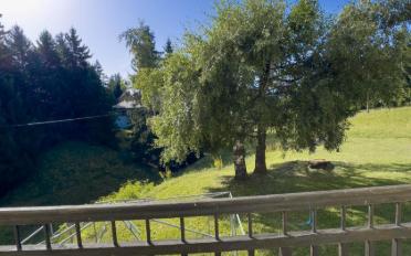 Chalet 4.5 Zimmer - image - 10
