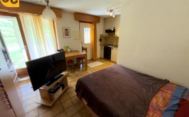 Apartment 1 room - image - 3