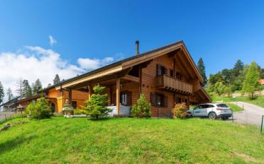 Chalet 4.5 Zimmer - image - 3
