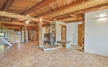 Farm house 5.5 rooms - image - 2