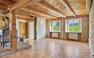 Farm house 5.5 rooms - image - 5