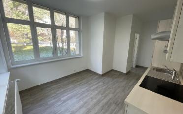 Appartement 1 pièce - image - 3