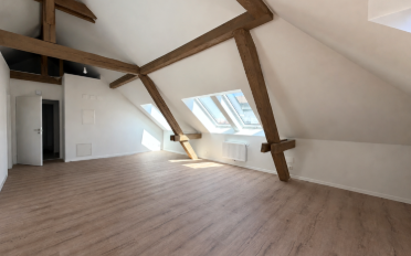 Wohnung 2.5 Zimmer - image - 4