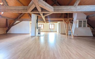 Einfamilienhaus 11 Zimmer - image - 10