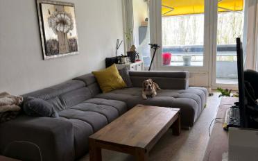 Apartment 5 rooms - image - 9