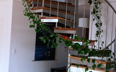 Duplex 6.5 Zimmer - image - 4