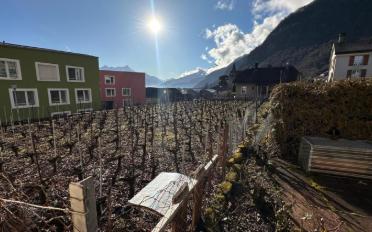 Gemischt genutzte Immobilie - image - 10