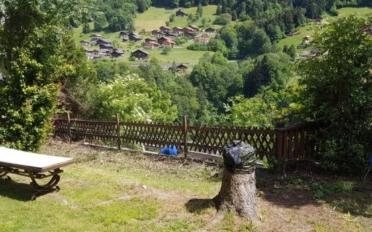 Chalet 6.5 rooms - image - 2