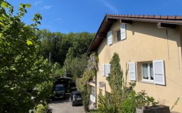 Villa 8 Zimmer - image - 9