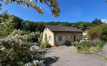 Villa 8 Zimmer - image - 11