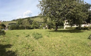 Bauland - image - 2