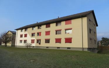 Wohnung ein Zimmer - image - 1