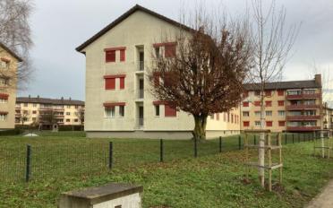 Wohnung ein Zimmer - image - 1