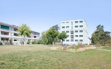 Wohnung 1.5 Zimmer - image - 1