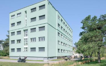Wohnung ein Zimmer - image - 1