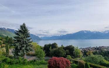 Villa 5.5 pièces - image - 16