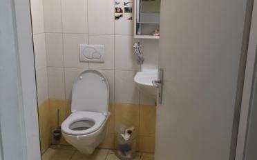 Doppeleinfamilienhaus 6.5 Zimmer - image - 9