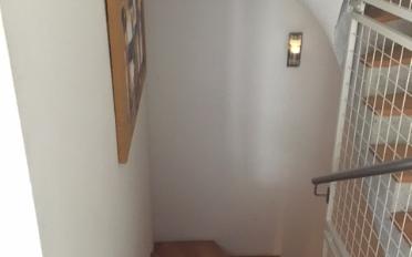 Doppeleinfamilienhaus 6.5 Zimmer - image - 6