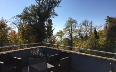 Doppeleinfamilienhaus 6.5 Zimmer - image - 5