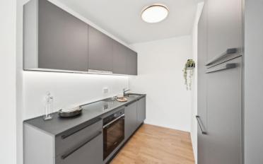 Wohnung 2.5 Zimmer - image - 5