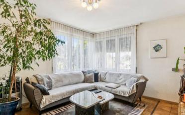 Einfamilienhaus 10.5 Zimmer - image - 11
