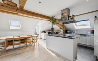 Mixed use property 12.5 rooms - image - 2