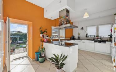Mixed use property 12.5 rooms - image - 5