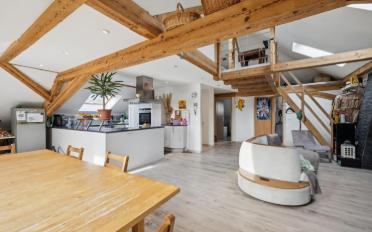 Mixed use property 12.5 rooms - image - 1