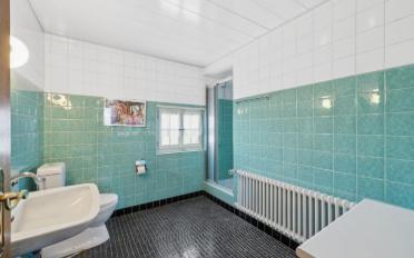Maison 9.5 pièces - image - 9