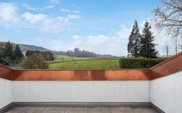 Doppeleinfamilienhaus 7.5 Zimmer - image - 9