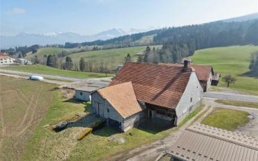 Doppeleinfamilienhaus 6.5 Zimmer - image - 2