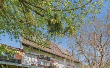 Einfamilienhaus 9 Zimmer - image - 1