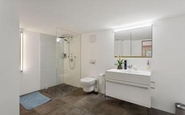Bauernhaus 12.5 Zimmer - image - 11