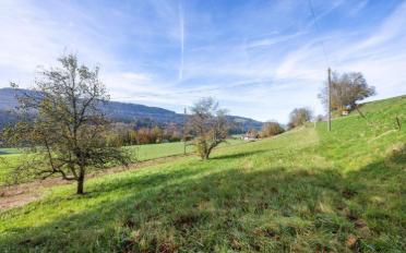 Villa 5 Zimmer - image - 12