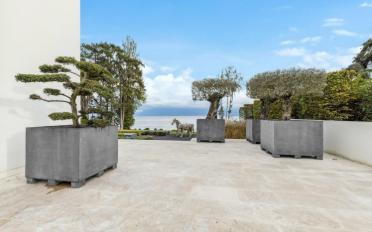 Villa 13 Zimmer - image - 6