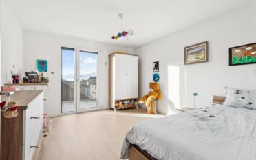 Attic flat 5.5 rooms - image - 10